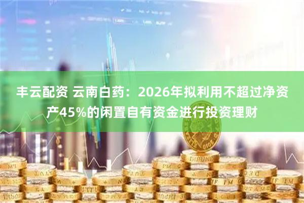 丰云配资 云南白药：2026年拟利用不超过净资产45%的闲置自有资金进行投资理财